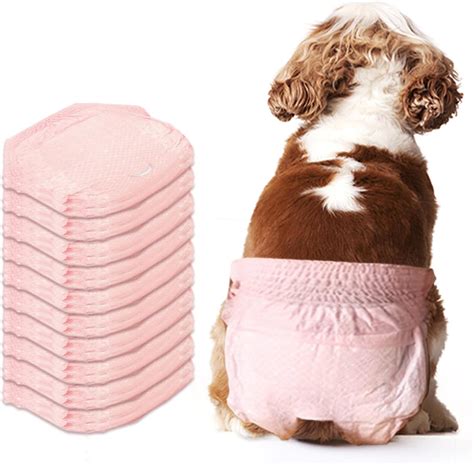 Dog Diapers Female Incontinence at Leon Aldridge blog