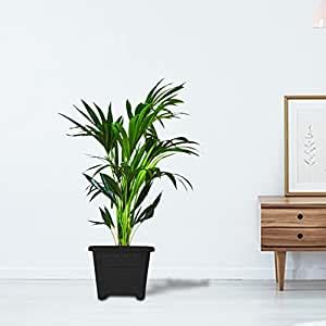 TrustBasket EarthBox-6 Square Plastic Planter Black (Set of 3) Heavy ...