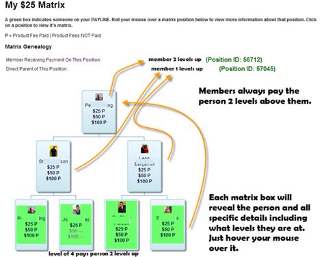Complete the Matrix Model 30 25 的图像结果