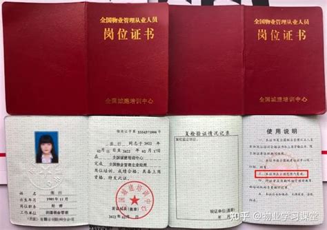 证书傍身涨“身价”？快看看你考的证书“有效”吗-青报网-青岛日报官网