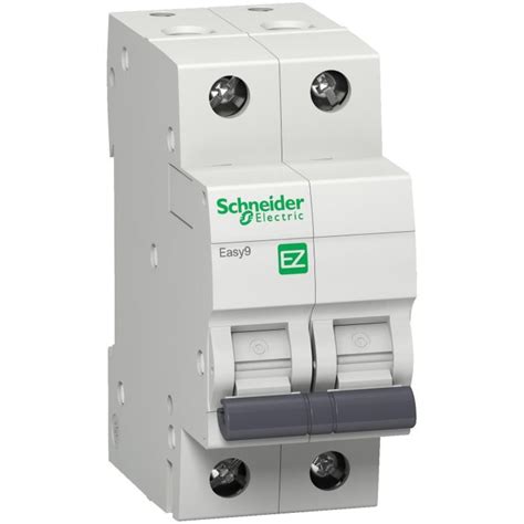 Buy Easy9 MCB 2P 63A C 10000A 415V Easy9 - Schneider Electric