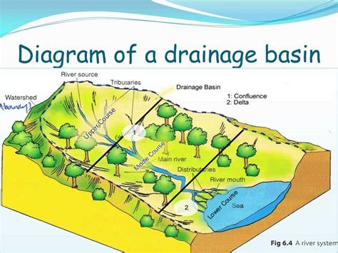 River System 的图像结果