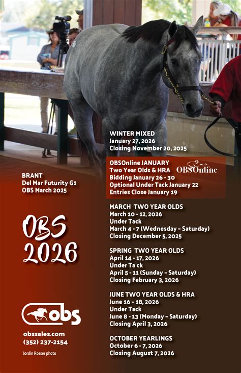 Sales Calendar – OBS Sales