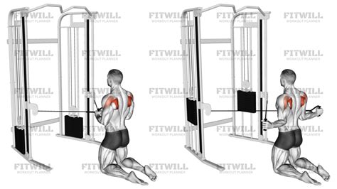Cable Kneeling Shoulder External Rotation: Exercise Guide, Video ...