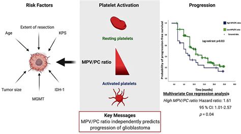 Frontiers | Mean Platelet Volume/Platelet Count Ratio and Risk of Progression in Glioblastoma