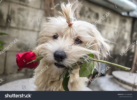 2,792 Happiness Everyone Concept Images, Stock Photos & Vectors ...