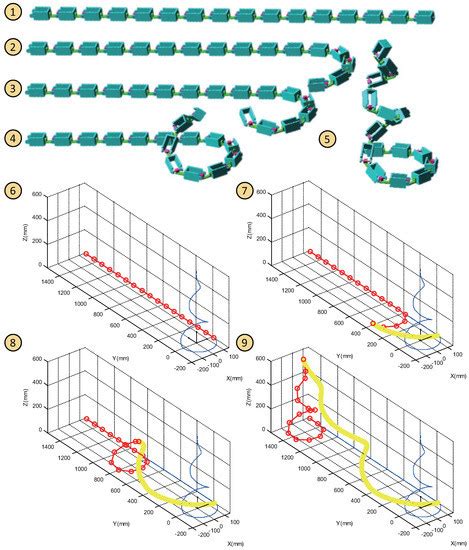 Head-Raising of Snake Robots Based on a Predefined Spiral Curve Method