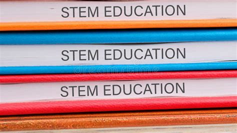 Stem 的图像结果