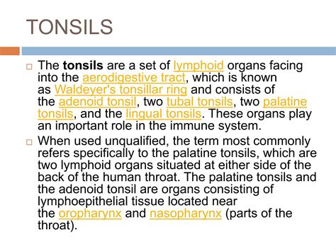 Anatomy and physiology tonsils | PPTX