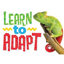 adapt是什么意思