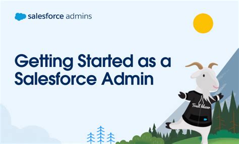 Image result for Salesforce Admin Tutorial for Beginners