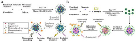 Overview on the Sensing Materials and Methods Based on Reversible ...
