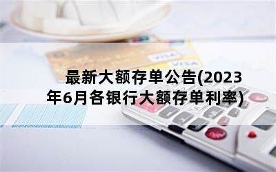 十大银行大额存款利率表 最新各大银行大额存单利率-随便找财经网