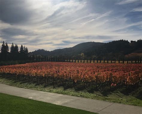 WINE NATION BY HANSOM LLC (2026) All You Need to Know BEFORE You Go (w ...