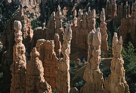 Bryce Canyon National Park | History, Animals, Plants, & Facts | Britannica