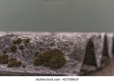 Image result for Python Depth Camera Git