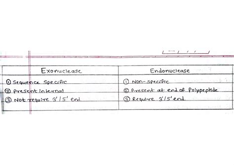 Difference between Exonuclease and Endonuclease | PDF