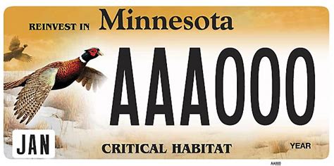 Minnesota auto tab renewal brings change on Jan. 1 - Twin Cities