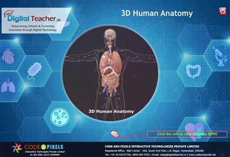 Infographics | Smart Learning | Digital Teacher