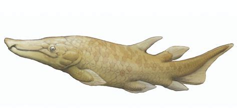 Image result for Fish Stink Meme