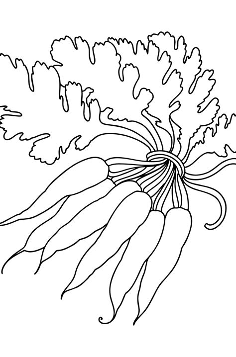 Carrot Coloring pages - Download, Print, and Color Online!