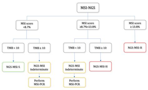 Real-World Evaluation of Microsatellite Instability Detection via ...