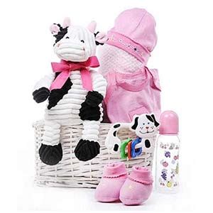 Online Gift for Kids In USA | Send New Born Baby Gifts In USA Online