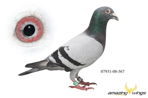 567 slots review,In the world of mobile gaming