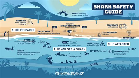 How Do Sharks Not Swallow Water While Feeding