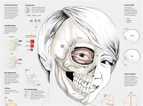 Vietnam People Looks 的图像结果