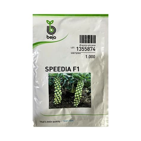Speedia Brussels Sprouts Seeds - Bejo | F1 Hybrid | Buy Online Now ...