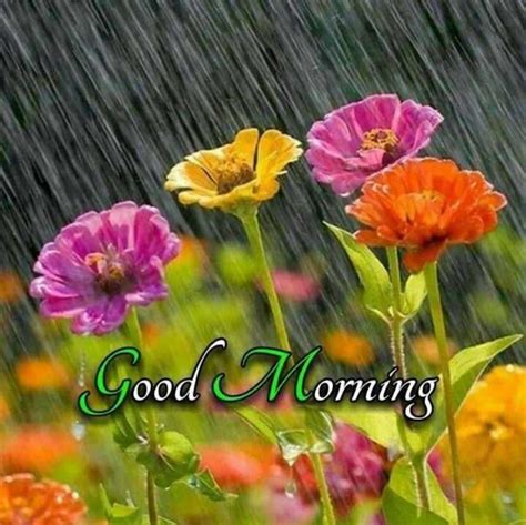 Top 999+ good morning images rain – Amazing Collection good morning ...