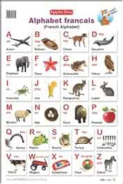 Amazon.in: Buy Educational Charts : French Alphabet Book Online at Low ...
