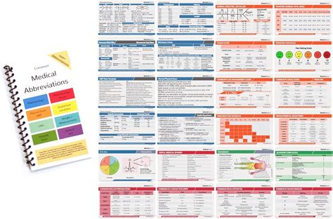 Buy Scrubnotes - Medical Reference ID Badge Cards for Nurses and ...