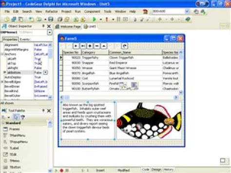 Image result for Delphi Tutorial Video