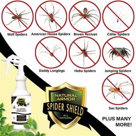 What Spray Kills Spiders at Ralph Halladay blog