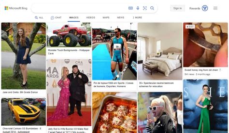 Bing Image Search 的图像结果