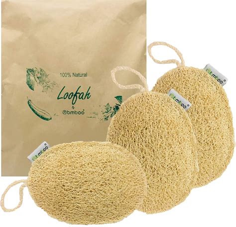 Amazon.com: 100% Natural Loofah Exfoliating Sponge (3 Pack) - Loofah ...