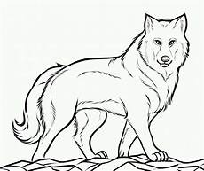 kostenlose malvorlagen wolf wolf ausmalbild kinderbilder kinderbilder kostenlose malvorlagen wolf wolf ausmalbild kinderbilder kinderbilder