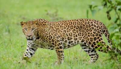 6 Places To Visit In Kasargod For An Ultimate Fun Trip!