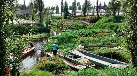 CHINAMPAS (Floating gardens): A Mexican Tradition With Global Impact ...