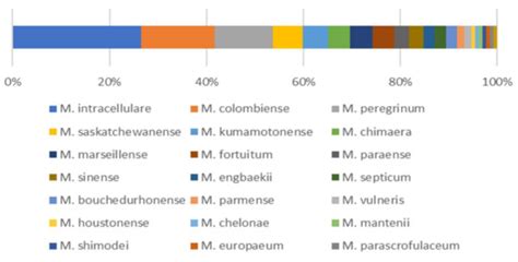 16S and 23S rRNA Gene Mutation Independent Multidrug Resistance of Non ...