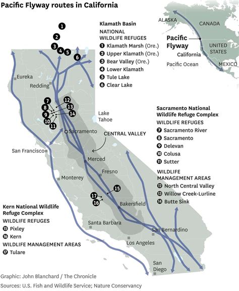 California drought: Migration of millions of birds being upended