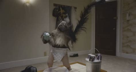 Puppy Monkey Baby Super Bowl Commercial 的图像结果