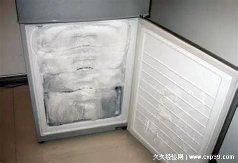 夏天冰箱调到几档最合适，1到2档最合适(高档位会损坏冰箱)_每日生活