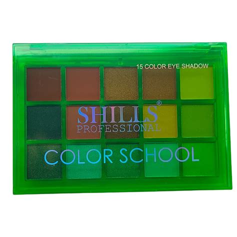 Buy Shills Professional Color School 15 Color Eye Shadow Palette Online ...