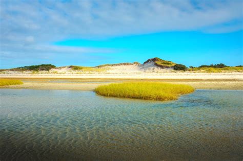 Mayflower Beach Cape Cod Tide Chart | Best Flower Site