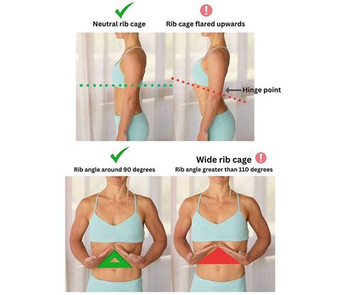 How Rib Flare affects your Diastasis, Pelvic Floor & Back — OUR FIT ...