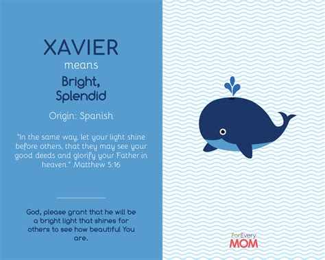 Meaning Of Xavier In The Bible - Eternal Bible