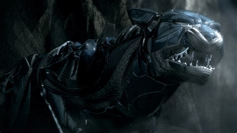 Image result for Shapeshifter Appendix